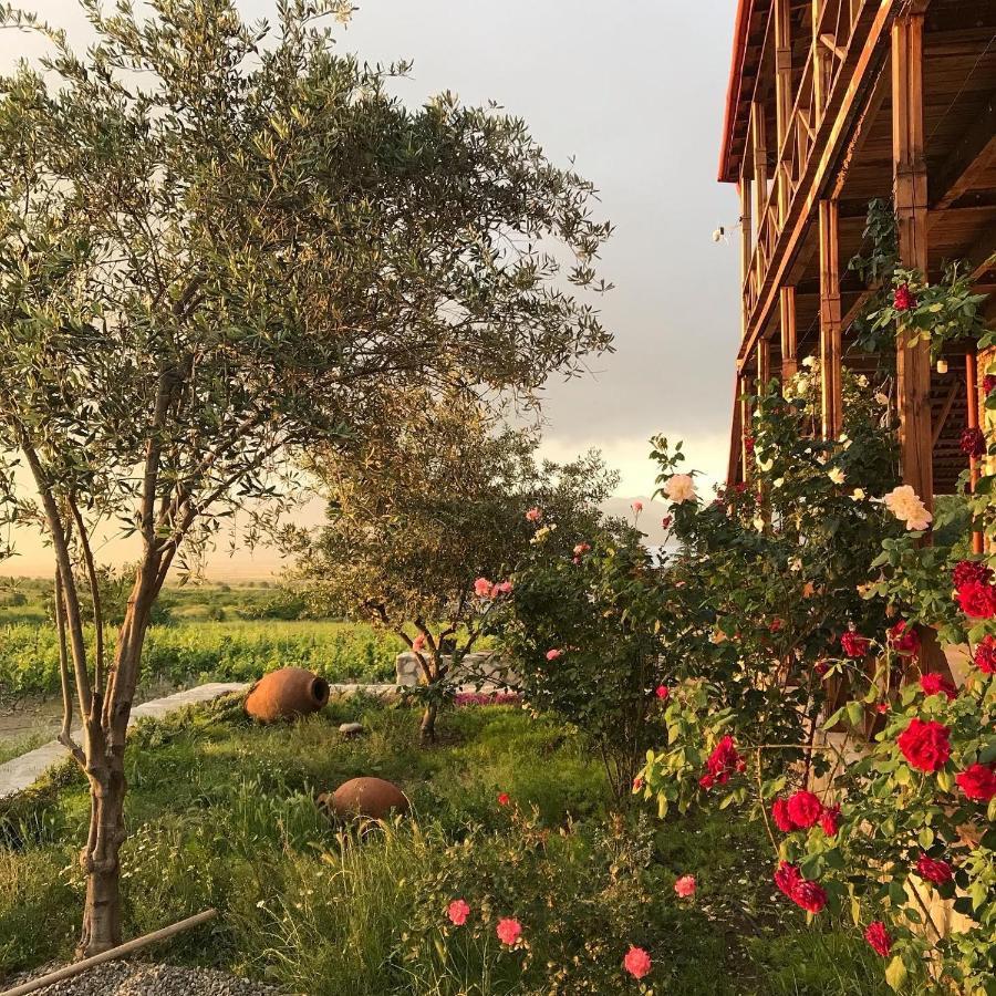 Elizbar Talakvadze Winery Villa Kardanakhi Kültér fotó