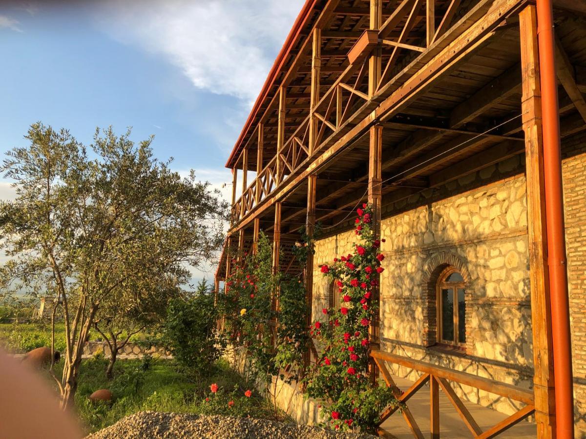 Elizbar Talakvadze Winery Villa Kardanakhi Kültér fotó