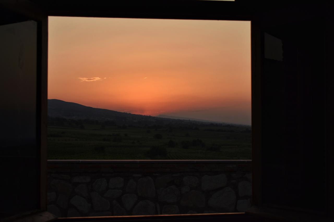 Elizbar Talakvadze Winery Villa Kardanakhi Kültér fotó
