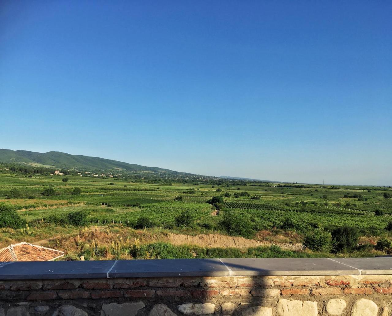 Elizbar Talakvadze Winery Villa Kardanakhi Kültér fotó